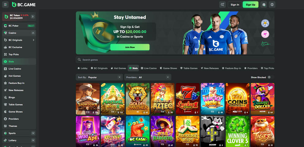 BC.Game online casino slot games